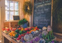 Laureles’ Top Organic Grocery Stores